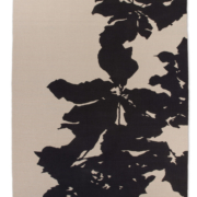 Tripetala 2018 Tripetala 2018 Lyn Sterling Montagne